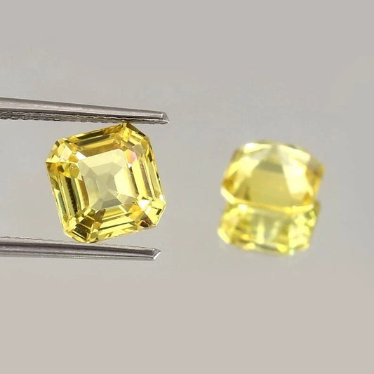 Yellow Ceylon Sapphire Pair gemstones held by tweezers on a gray background