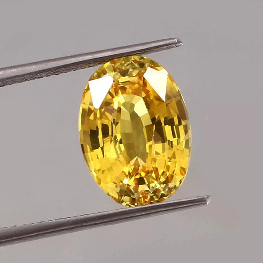 Yellow Sapphire gemstone held between tweezers on a gray background