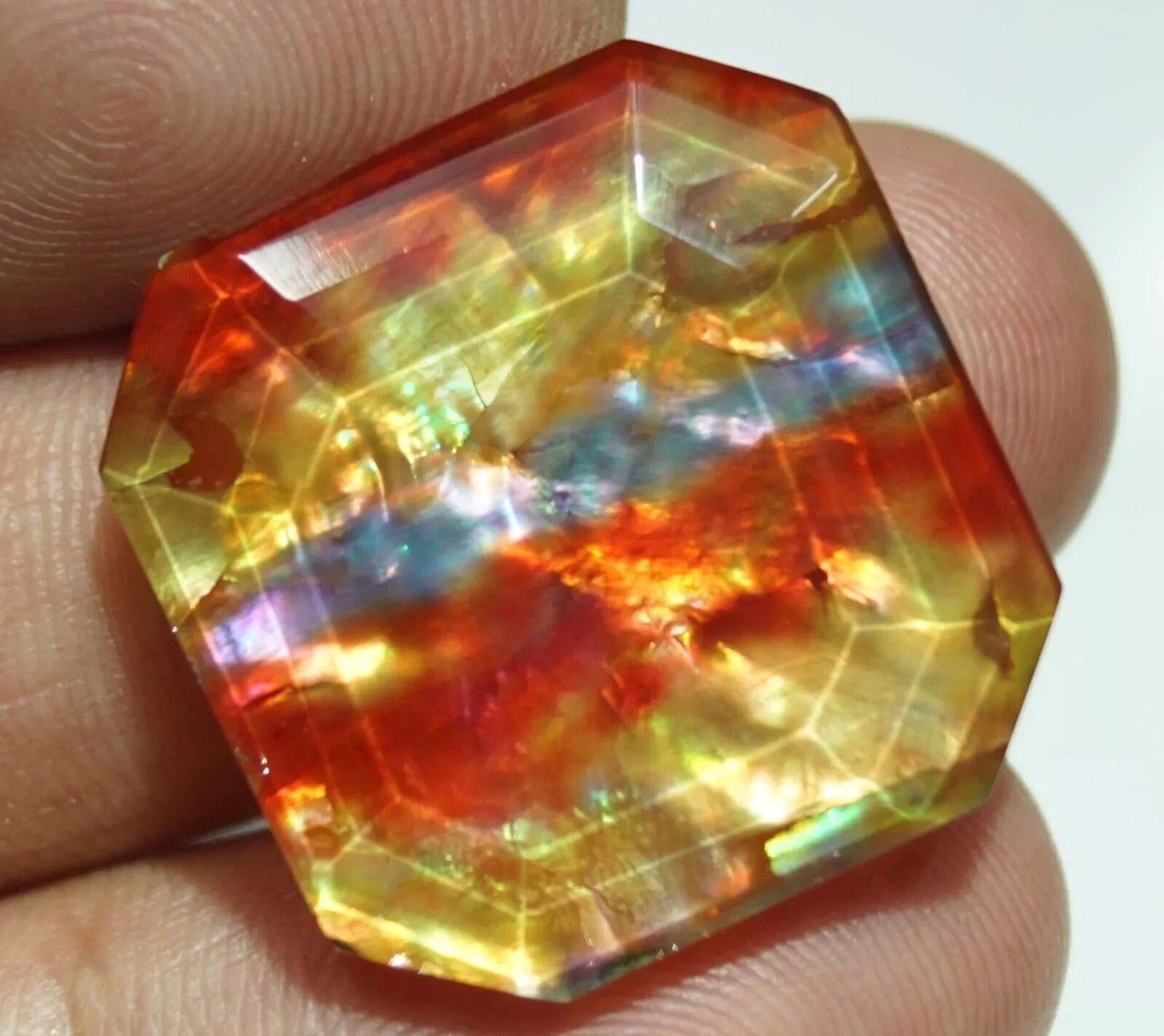 Ammolite
